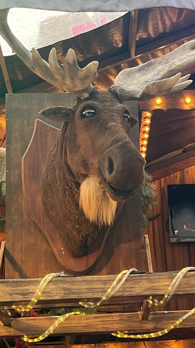 Ein Rentier-Kopf an einem der Weihnachtsmarkt-Stände