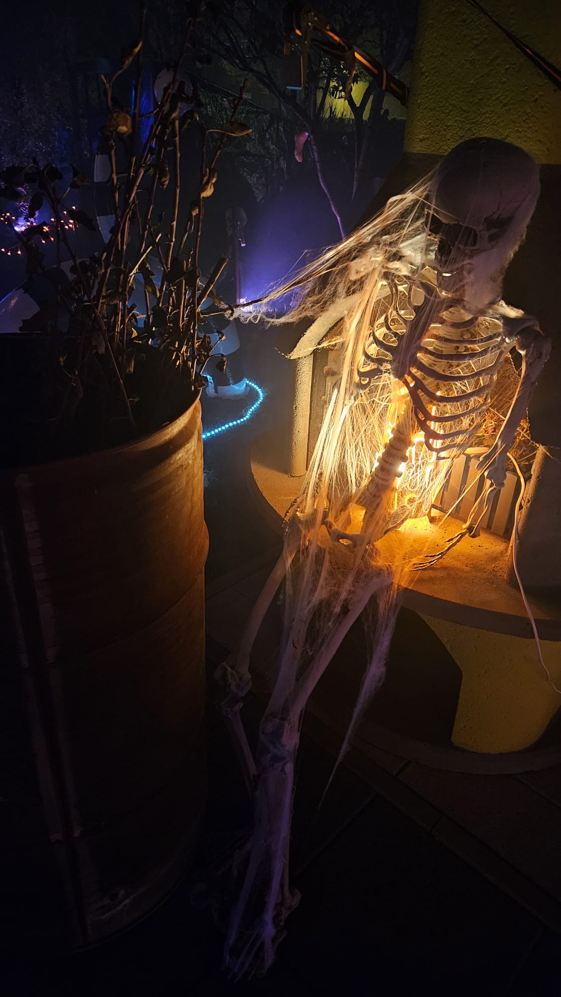 Am Eingang steht eine Skelett-Figur, von Spinnenweben umhüllt und vom hellen Licht angestrahlt.