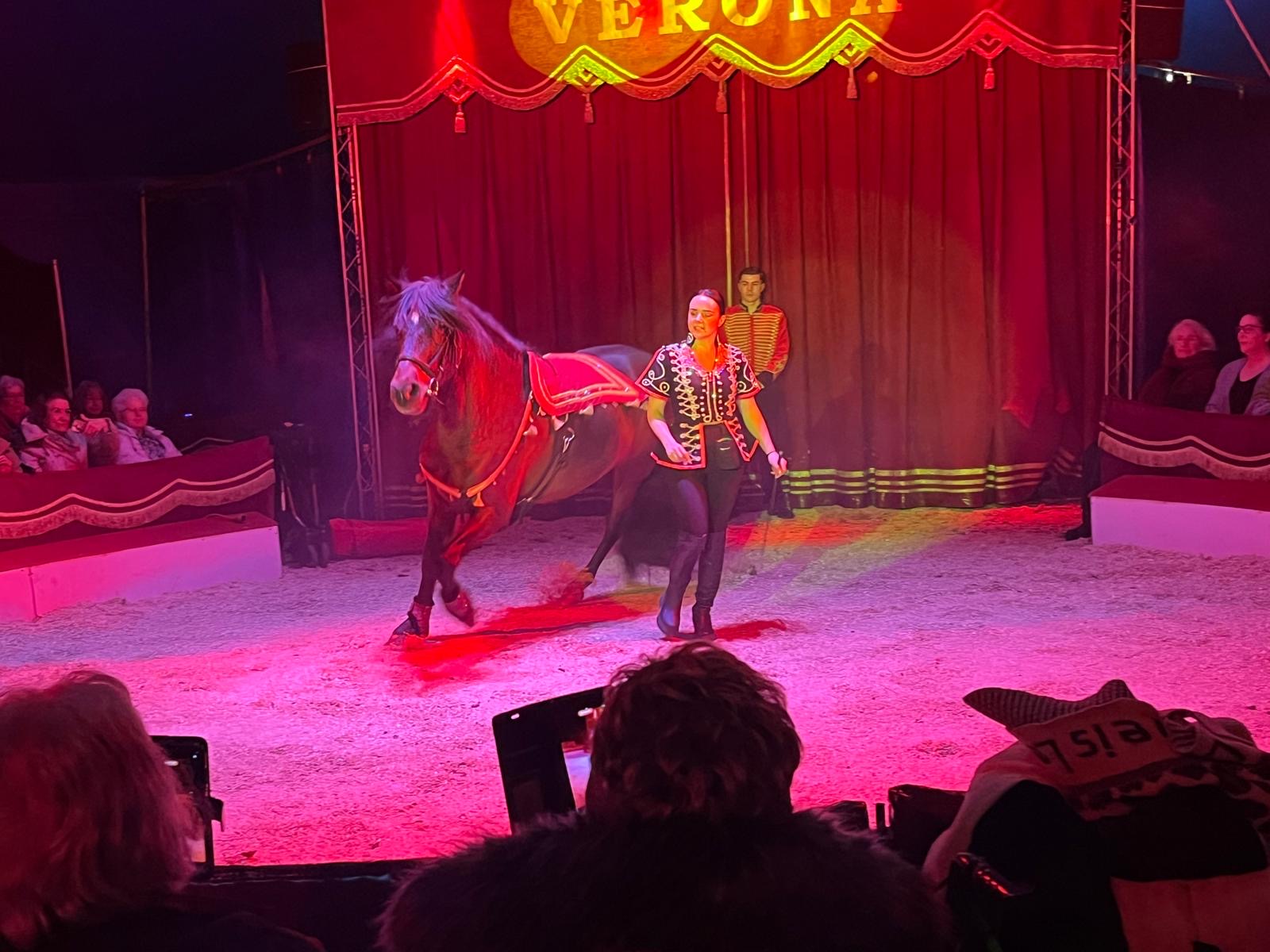 Pferde-Dressur-Akt mit Jessica Tränkler