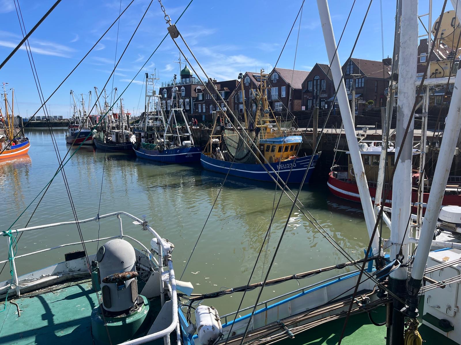 Am Wochenende vom 3. bis 4. Mai 2025 fuhren unsere Seniorinnen und Senioren nach Neuharlingersiel an der Nordsee. Das Hotel, wo sie untergebracht waren, liegt direkt am Hafen.