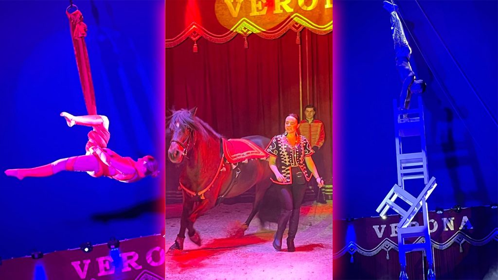 Manege frei! für den Dortmunder Weihnachtscircus: von links nach rechts: Hochseil-Akrobatik, Pferde-Dressur und Handstand-Akrobatik