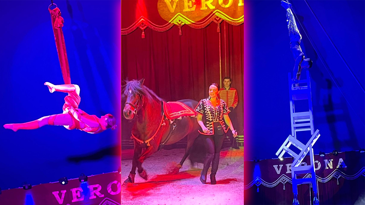 Manege frei! – Für 200 bedürftige Seniorinnen und Senioren im Dortmunder Weihnachtscircus