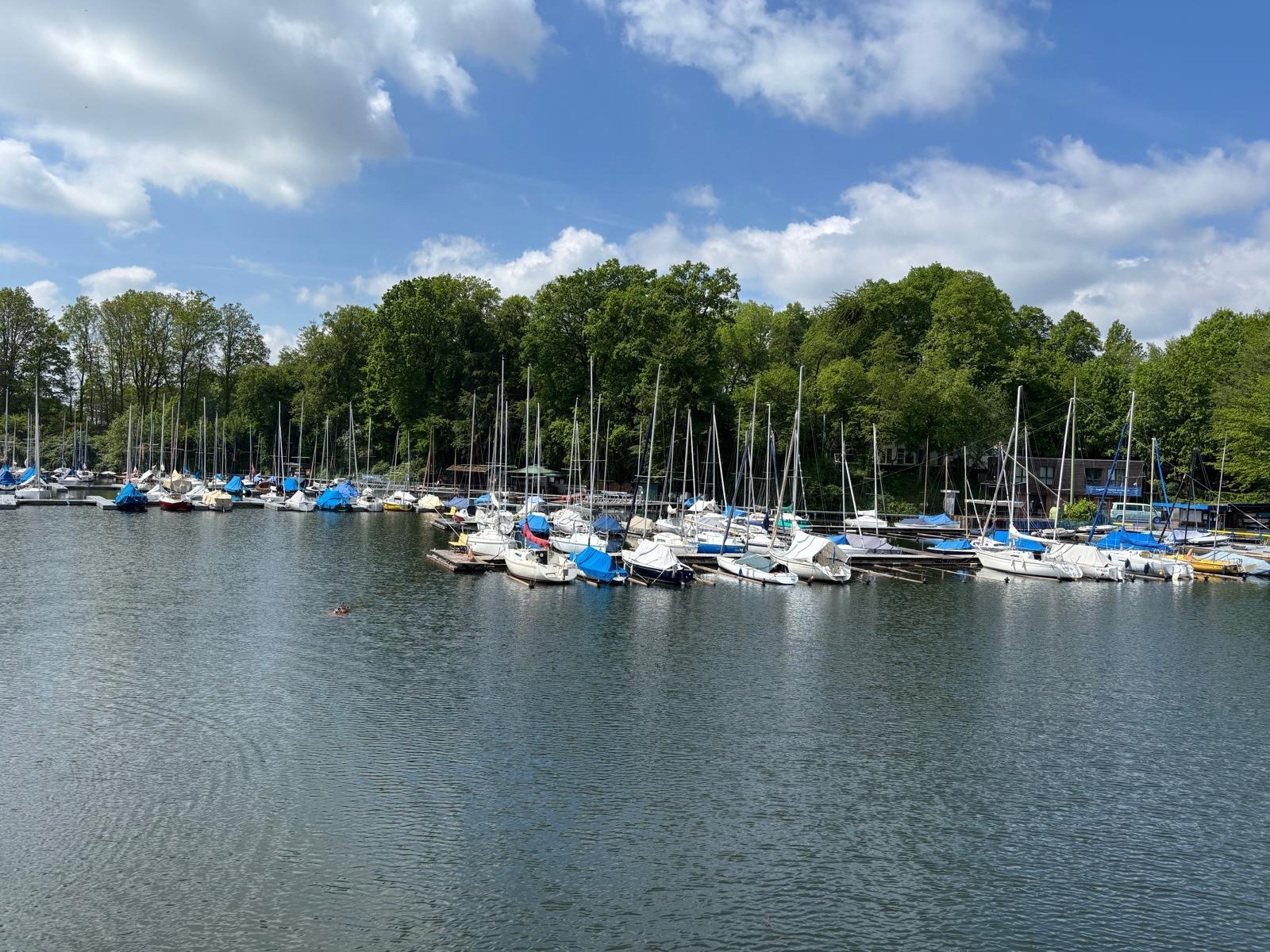 Am Hafen des Halterner Sees gab es viele Segel-Boote.