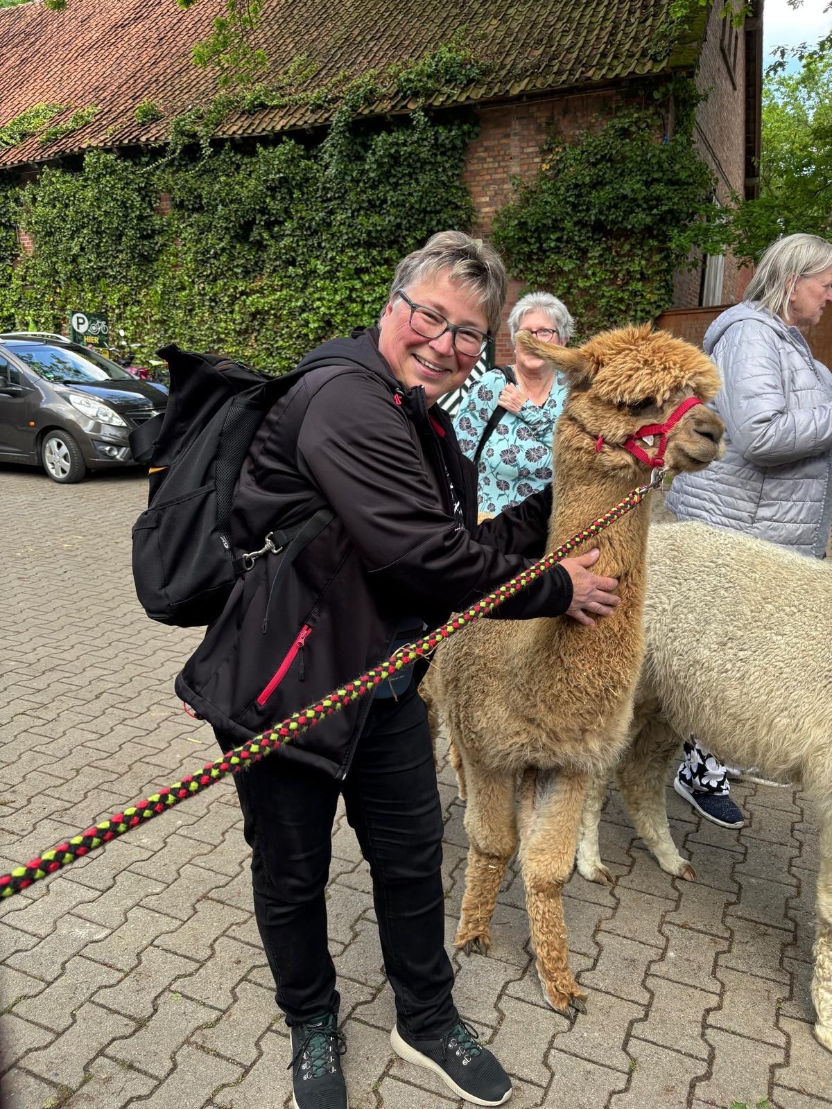 Eine Seniorin streichelt ein braunes Alpaka.