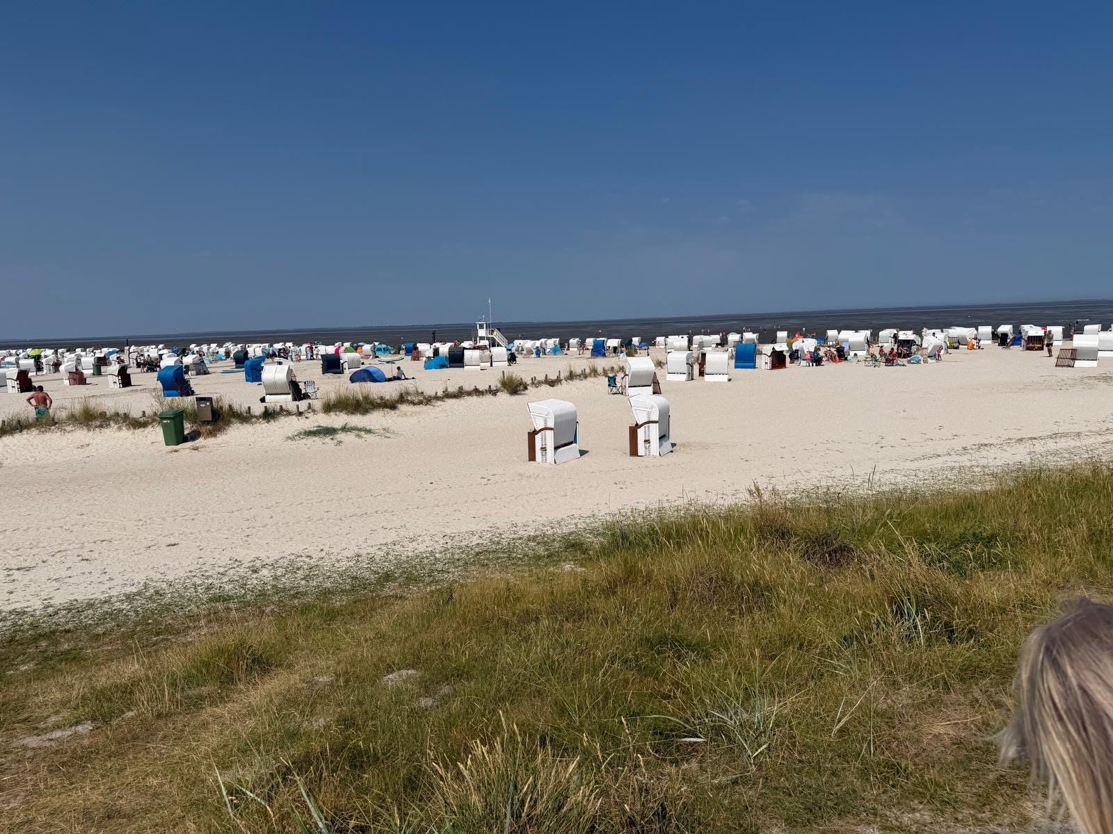Am Sandstrand befinden sich zahlreiche Strandkörbe.